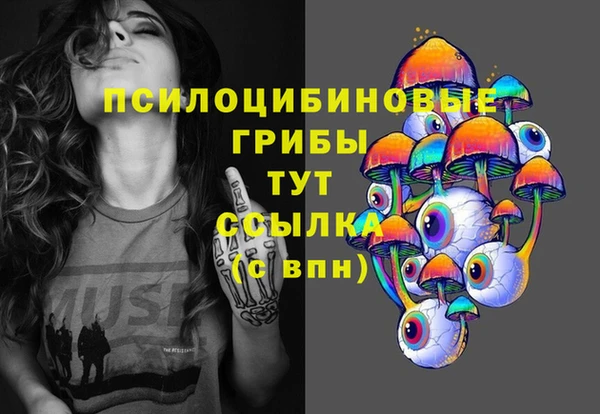 стаф Абаза
