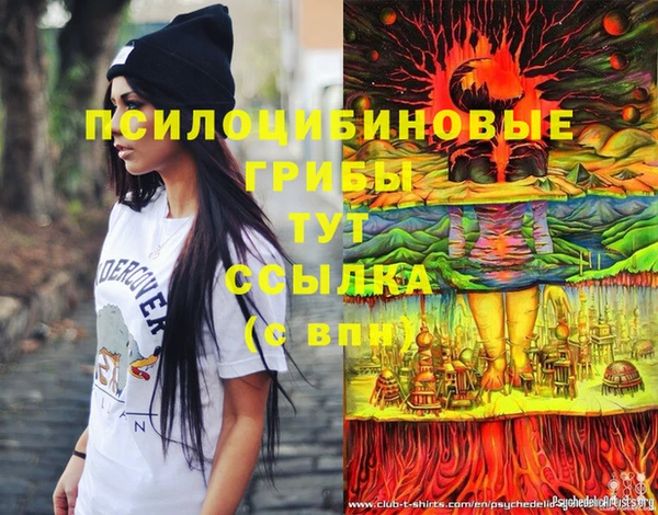 гидропоника Россошь